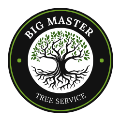 Big Master Big Master